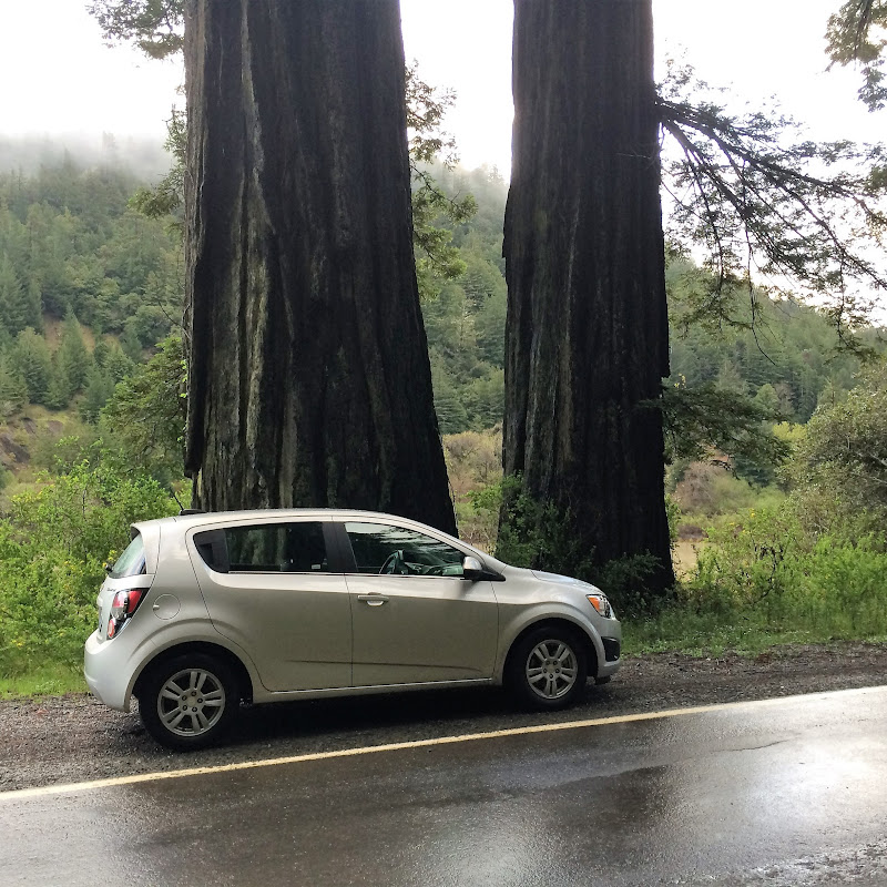 Road Trip Travelers