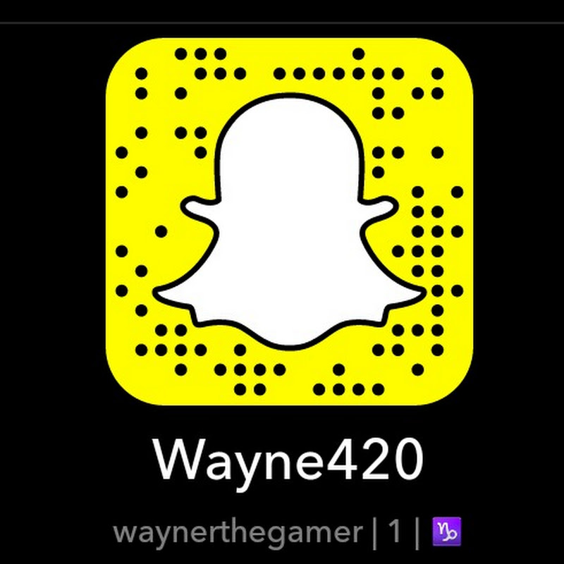 Wayner The Gamer