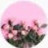 @순수-v9d