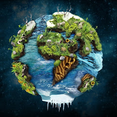 History Life avatar