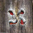wM_zpNbMV7s-channel-avatar-celtico