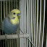 aGSckWBNrLA-channel-avatar-kita2007mst