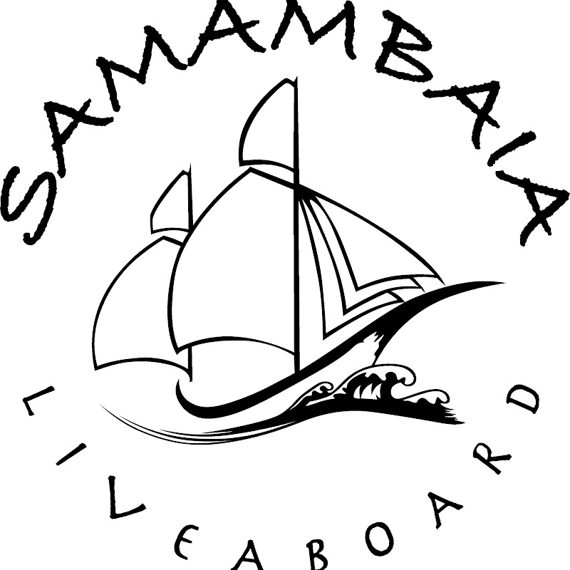 samambaialiveaboard