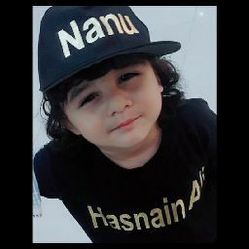 Hasnain Diaries