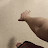 @alifadel5944