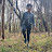 @nagababuanshu975