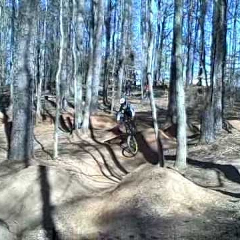 lilferg80