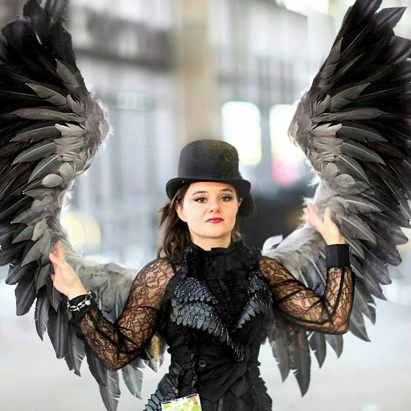 The Crooked Feather icon