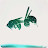 youtube avatar