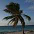 jlueLqjc6lY-channel-avatar-Mike Traveling
