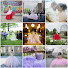 WfwbJD0Caao-channel-avatar-Honeybee Photography STL