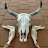 @IronHorse254