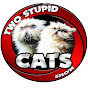 Two Stupid Cats Show