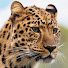 brtSz3rvsHs-channel-avatar-Pravara