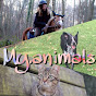 My.animals logo