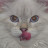 Avatar photo