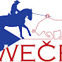 Working Equitation Česká republika logo