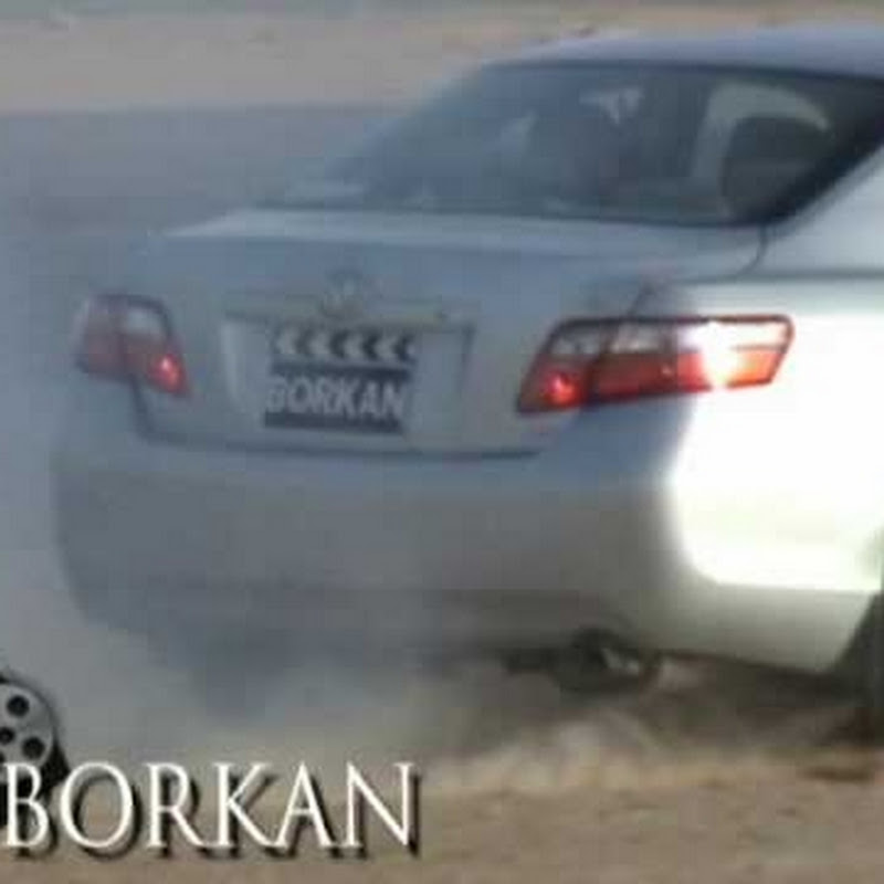 BORKAN88