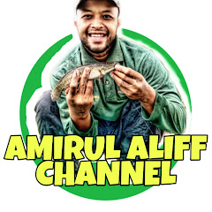 Amirul Aliff Channel net worth