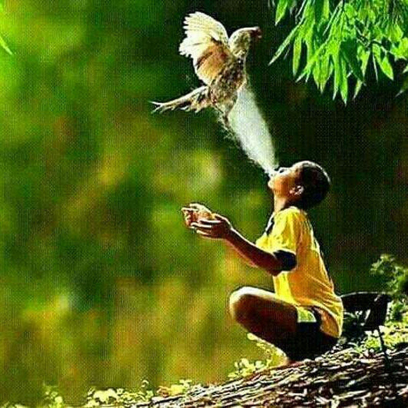 Ahmed Tv