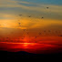 Channel Image
