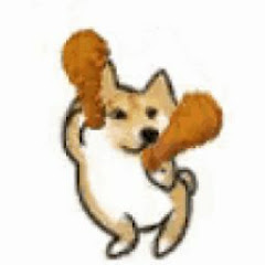 Piterx