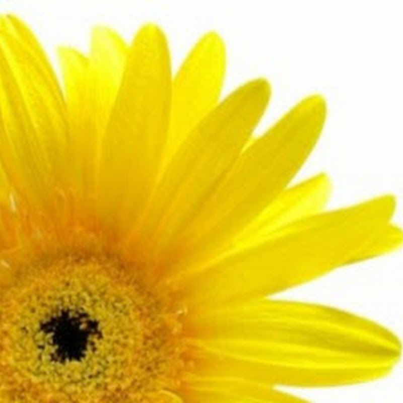 PCOS Matters