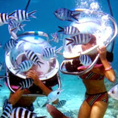 毛里求斯人アイコン画像