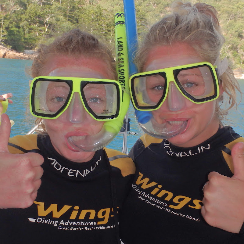 wingssailingcharters