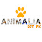 Animalia Dot Pk logo