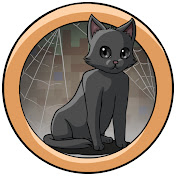 Spider cat Hs13h YT