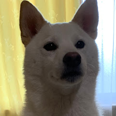 ツヨシ