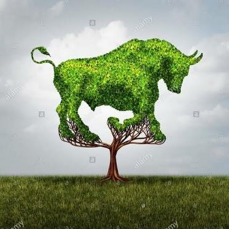 Bullester Trade