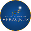 What could LLDMVERACRUZ buy with $132.2 thousand?