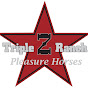 Triple Z Ranch Pleasure Horses logo