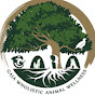 Gaia Wholistic Animal Wellness SG