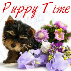 Puppy Time channel logo