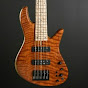 Bass Universe