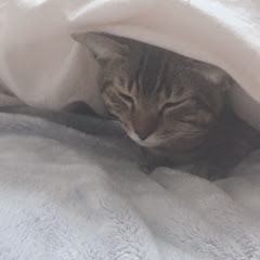 破壊神アグネス
