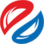 Dinsol India logo