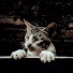 389E__AHUR8-channel-avatar-Axel adrian Hernandez reynoso