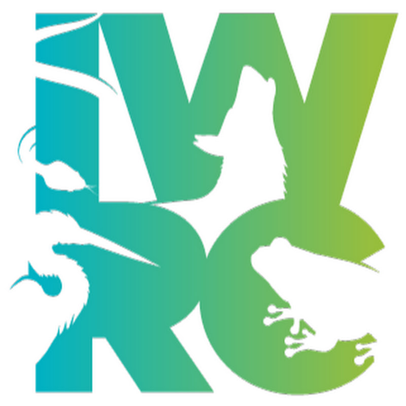 theiwrcwildlife profile avatar