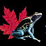 VzCLvyfyM-A-channel-avatar-Northern Frogger