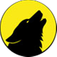 Radio Lupo Solitario