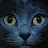 @bricomatica Avatar
