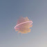 qdX0aPcjaWk-channel-avatar-nostalgic cloud