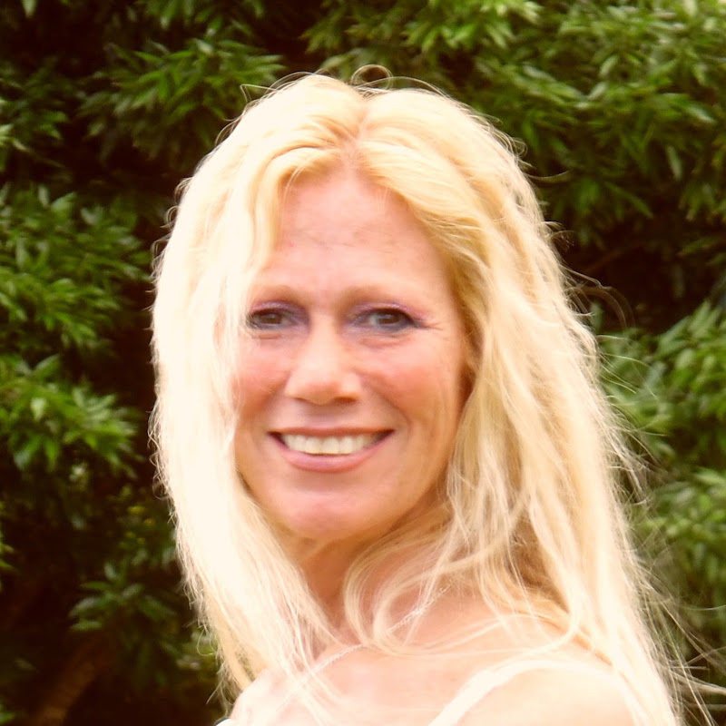 Lisa Transcendence Brown icon