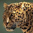 @darrellw3962 Avatar