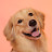 @morithegolden5166