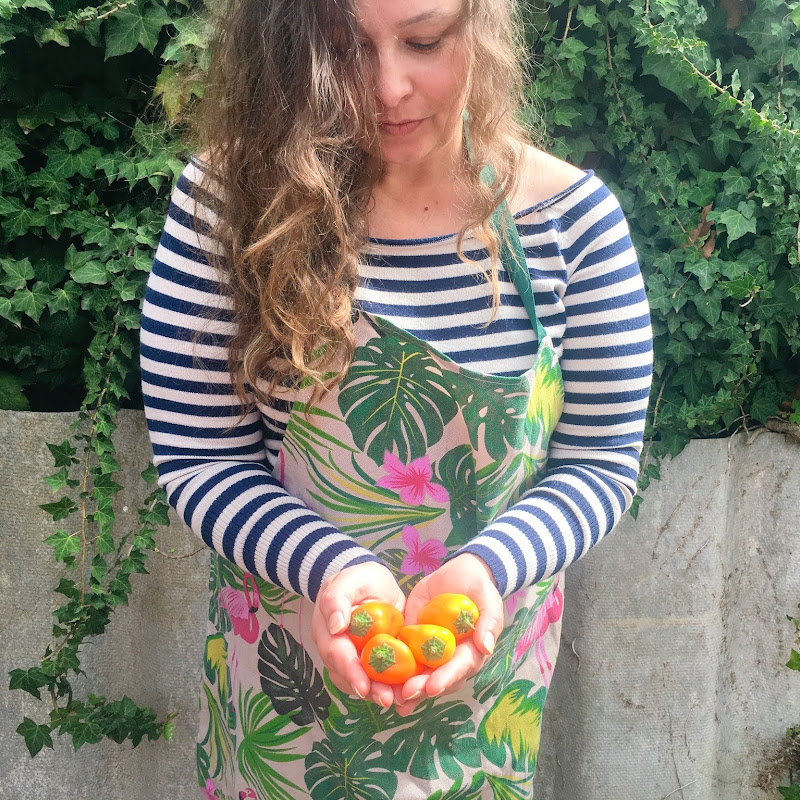 The Organic Gypsy